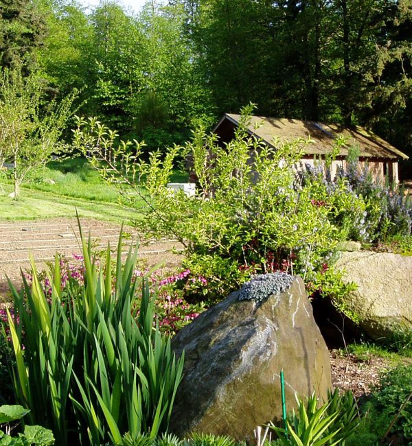 Herb garden