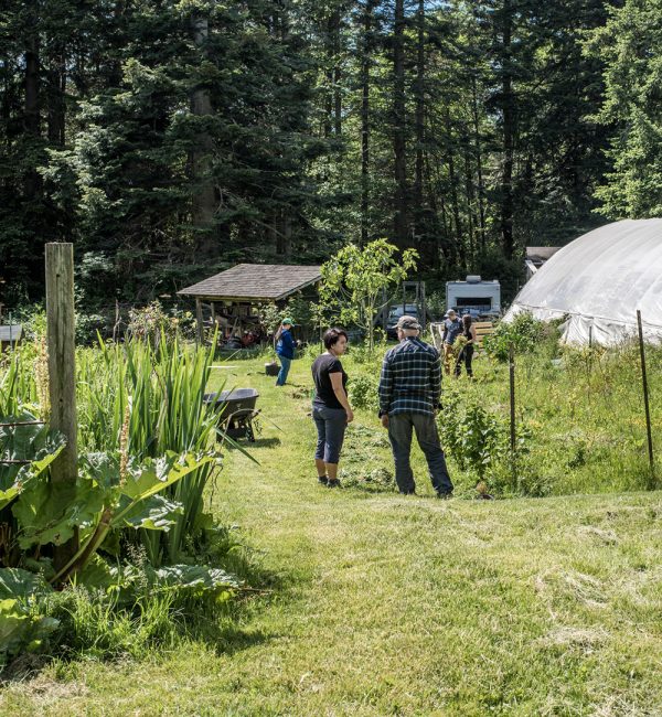 Nettles Farm Bed & Breakfast on Lummi Island—A true San Juan Island experience where farming, fishing, and gourmet cooking all come together in one place.